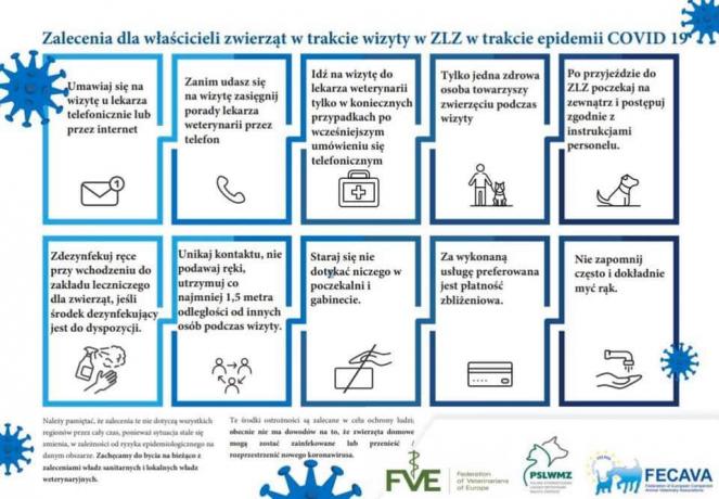 Zalecenia dla właścicieli zwierząt